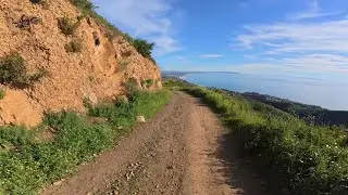 Descending fire roads in verdant Topanga State Park on a hardtail MTB
