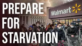 Fears Of Rising Food Prices, Freight Rate Spike & Extensive Shortages Trigger Panic On Supply Chains