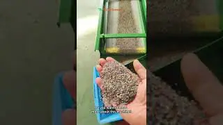 80~100kg/h Wire Separator Machine BS-D75 | Small Wire Granulator In Testing For Serbia Customer