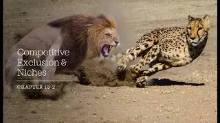 Interspecific Competition, Competitive Exclusion & Niches