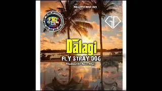 Dalagi_Fly Stray Dog(Produce By Mozz Atia)_GD Records_Png Latest Music🇵🇬☠️