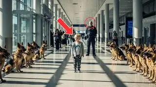 11 Police Dogs Surround a Little Girl at the Airport &mdash; What Happened Next Shocked Everyone!