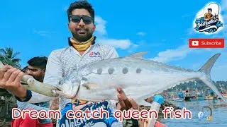 ड्रीम कॅच क्वीन फिश तवसाल day 2 #fishing #barramundi #angler #grupper #kokan #fish #video