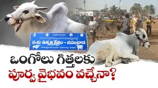 Ongole Bull | A Beef Boom in Brazil Face Decline | Story of A Fading Legacy in India || Idi Sangathi