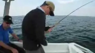 Sailfish on fly- Rompin