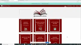 @LeestownLibrary Webpage 2020 Overview