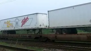 CP 131
