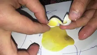 Boş yumurta nasıl anlaşılır? Boş Yumurta Sorunu\neden boş yumurta atar? boş yumurtanın çözümü var mı