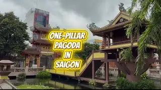 Cultural Journey in Vietnam | A Walk to the One Pillar Pagoda, Thu Duc