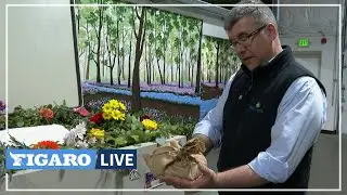 🔴Aux &Eacute;tats-Unis, le &laquo;compost humain&raquo; comme alternative &eacute;co-responsable &agrave; l'enterrement
