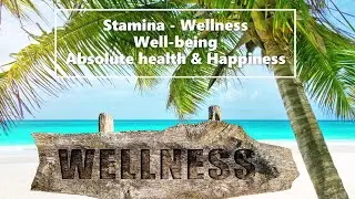Stamina Absolute Wellness Well-being -Body Mind Spirit -Relaxing Waves.