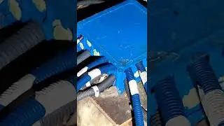 quand un rat grignote une gaine &eacute;lectrique