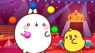 Molang | El circo 🤡🤹‍♀️| Dibujos animados para niños | capitulos completos en español