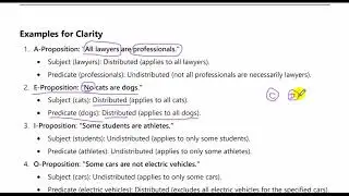 14 - Distribution of terms in A, E, I, O propositions.