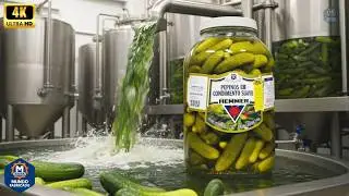 Você não imagina como o PEPINO em conserva é feito | Mundo Fabricado