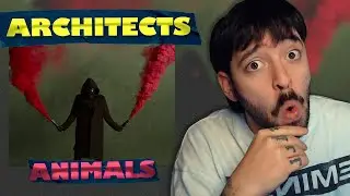 Архитекторы - &laquo;Животные&raquo; | РЕАКЦИЯ | Я что, сплю на этой группе?! 😱🤘🏻👀