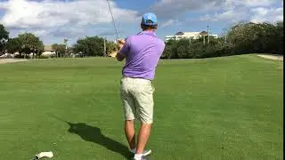 Grey Snakeskin with Lime-Green Lines Golf Shorts &ndash; Hreski 142