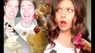 Sorsha Morava Murders Dog?!