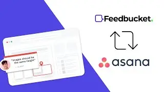 Turn website feedback and bug reports into Asana tasks