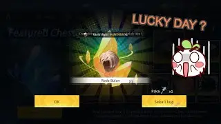 Dragon Raja SEA - Got Hair From First Gacha 5X Featured Chest !!