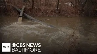 Maryland Gov. Moore says D.C. sewage leak is 99% contained