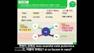 &Icirc;nvață coreeana ușor! 🌸 Sejong 1B Lecția 12 &ndash; Vremea & cele 4 anotimpuri 루마니아에도 사계절이 있어요? 세종한국어회화1B