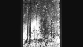 Hate Forest - Moon