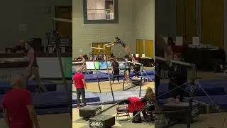 TAAG - Bars, Level 8, Jade Williamson, Gold, State Champion
