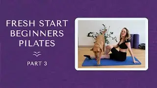 Fresh Start Back To Basics Pilates - Part 3 - Guided Pilates For Beginners - Audio Described