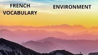 ENVIRONMENT (FRENCH VOCAB)