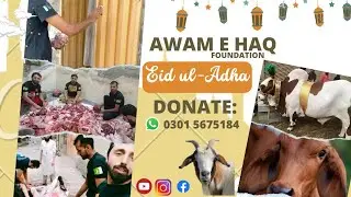 Qurbani made by awam e haq foundation which is distributed among poor people. /Haroonkhan/#donate