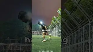 Hamstring Graft in ACL Surgery 🦵#aclinjury #aclsurgery