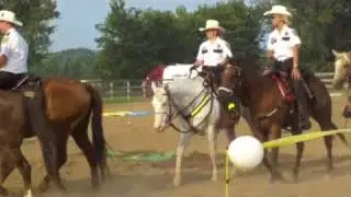 Mounted Patrol's Qualifying Tests for Horses & Riders