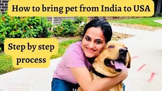 How to bring pet from India to USA