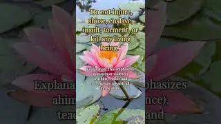 Mahavira&rsquo;s Teachings on Non-Violence and Compassion for All Life
