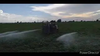 Black gram cultivation pesticides spraying