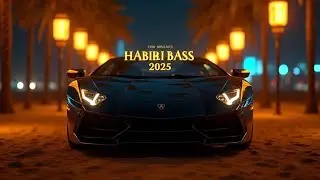 Habibi Trap Symphony | Royal Arabic Bass | Chill Car Mix 2025