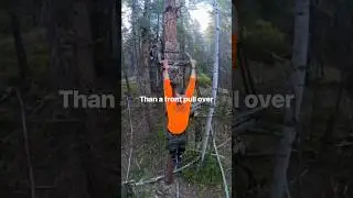 Workout 30 feet off ground tree stand #workout #treestand #pullups #pullover #heights #summit #viper