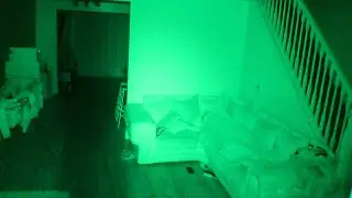 I CAN'T BELIEVE IT FULL BODY GHOST APPARITION