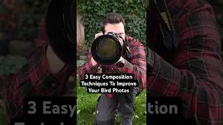 3 Easy Composition Techniques To Improve Your Bird Photos! #birds #birdphotography #photography