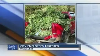 600 pounds of marijuana found on northern Wisconsin property