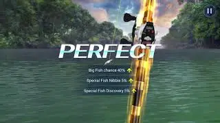 Brandon Customer Support Requested Video (Fishing Strike)