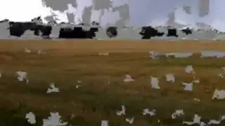 August 21, 2011 Tornado (Goderich Ontario)