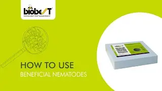 How to use nematodes from Biobest