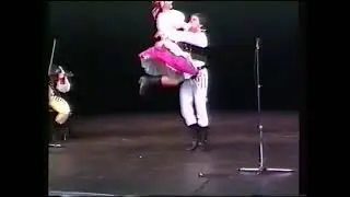 1989 LUCNICA