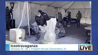 Icestravaganza: Meet one of the sculpture artists