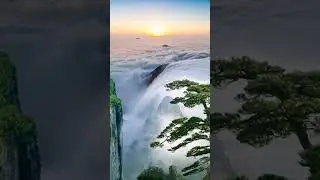 nature video status || 4k nature video #relaxings #nature @SoothingRelaxation