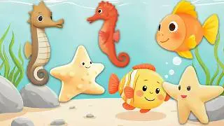 Calm Sea Friends for Babies 🐠⭐ | Gentle Calming Music