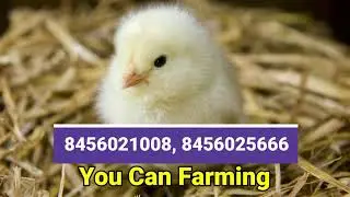 eFarming App ( You Can Farming, Baripada )