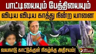 எங்கள ஏதும் பண்ணிடாத..,கைகூப்பிய பாட்டி..,காப்பாற்றிய யானை! | Elephant Protection | Wayanad | PTD